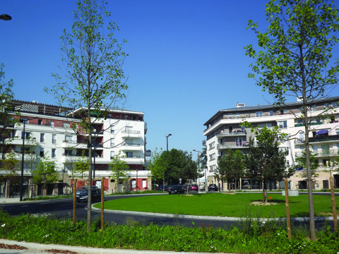 Élagueur Montfermeil