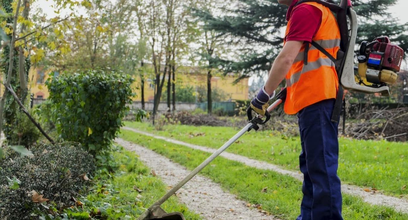 Taille de haies & Débroussaillage dans le 93 Seine-Saint-Denis