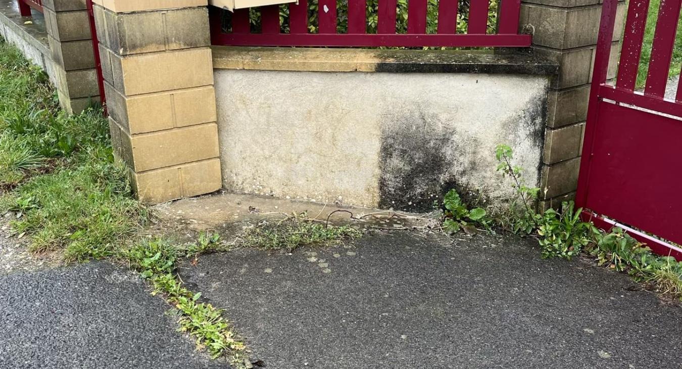 Nettoyage de façade 77